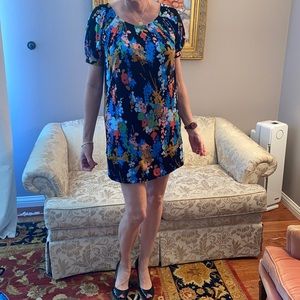 Mini Monet dress by Tibi—sexy silk